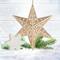 Scentsicles Gold White Winter Fir Metal Star Ornament with Refill